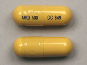 Amoxil (Amoxicillin)